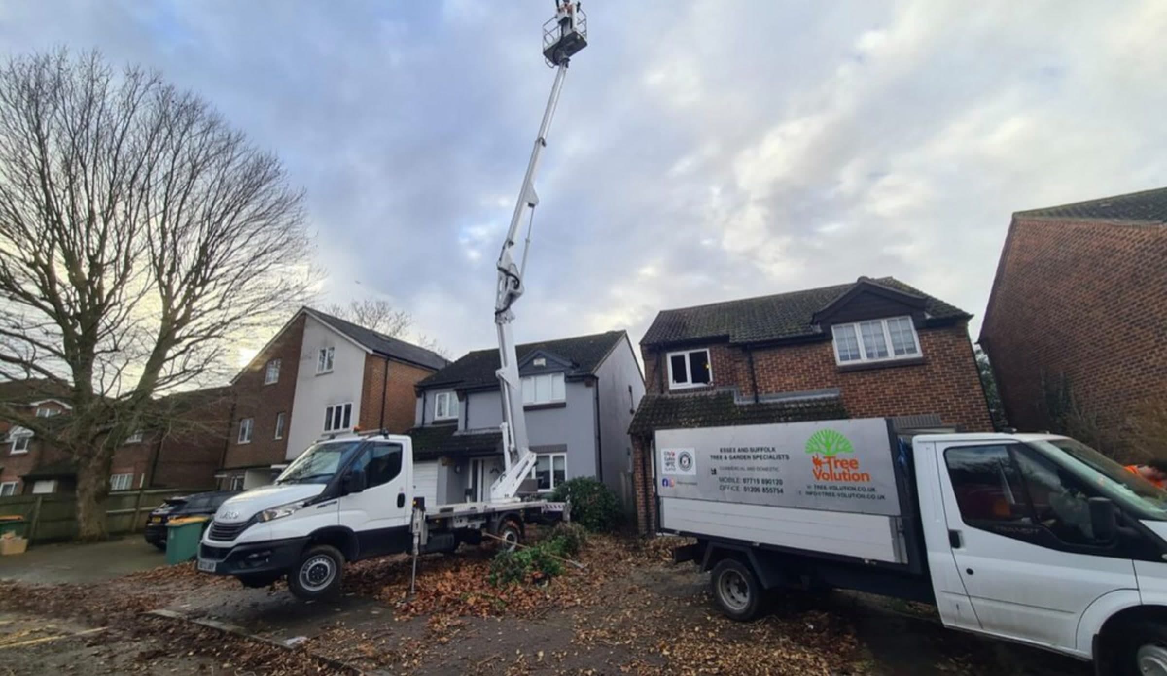 Tree Volution cherry picker and branded vans on a tree work site in Essex