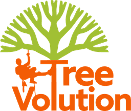 Tree Volution